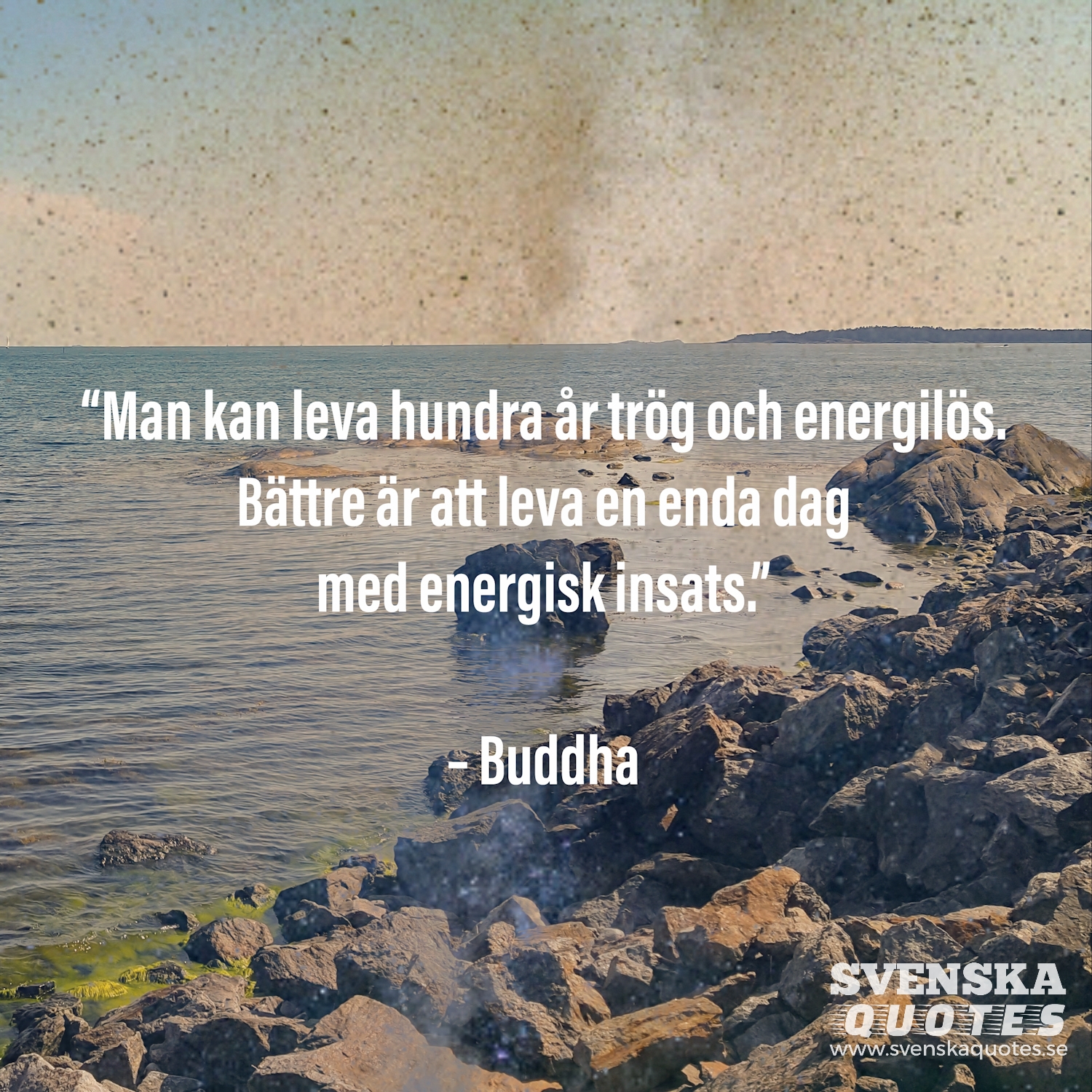 Man kan leva hundra år och energilös... quote av Buddha